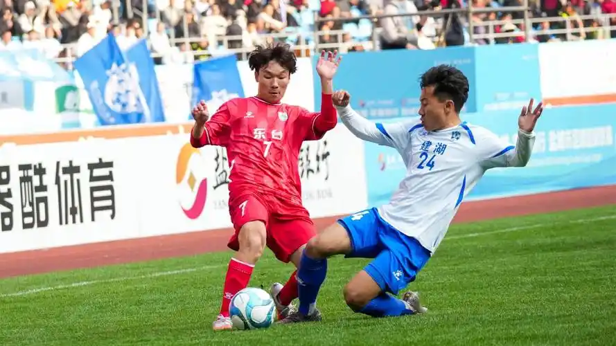 多特蒙德 VS 里尔